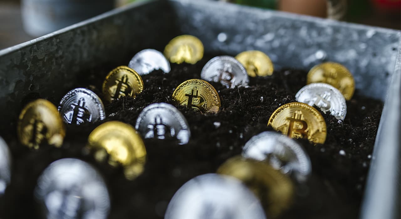 coins